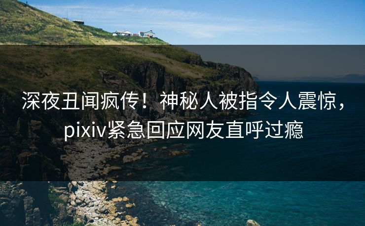 深夜丑闻疯传！神秘人被指令人震惊，pixiv紧急回应网友直呼过瘾