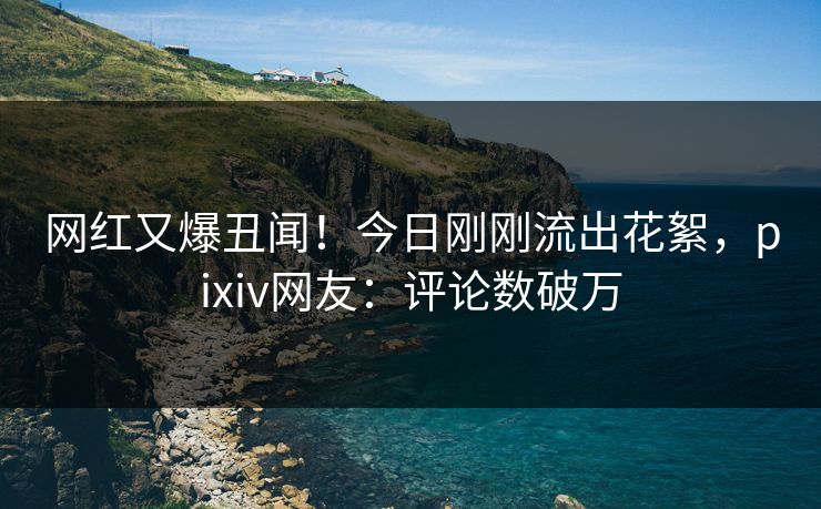网红又爆丑闻！今日刚刚流出花絮，pixiv网友：评论数破万