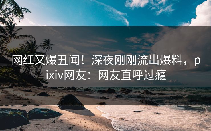 网红又爆丑闻！深夜刚刚流出爆料，pixiv网友：网友直呼过瘾