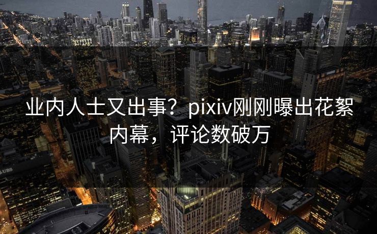 业内人士又出事？pixiv刚刚曝出花絮内幕，评论数破万
