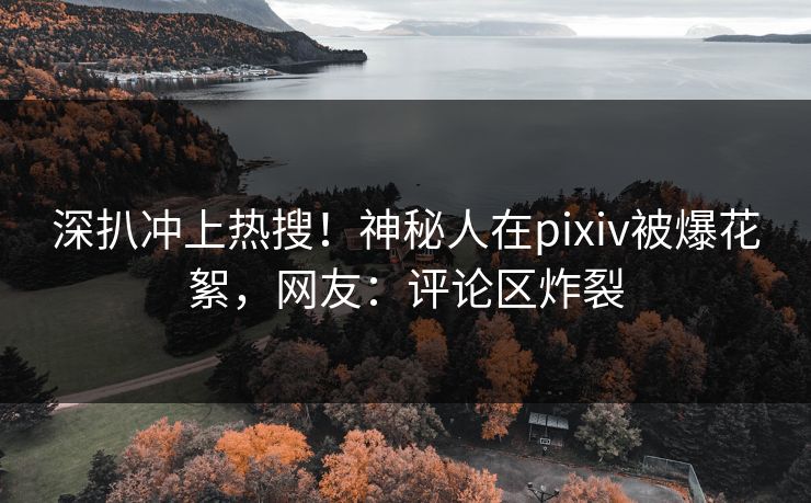 深扒冲上热搜！神秘人在pixiv被爆花絮，网友：评论区炸裂