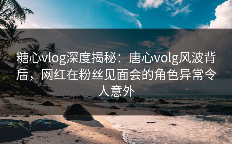 糖心vlog深度揭秘：唐心volg风波背后，网红在粉丝见面会的角色异常令人意外