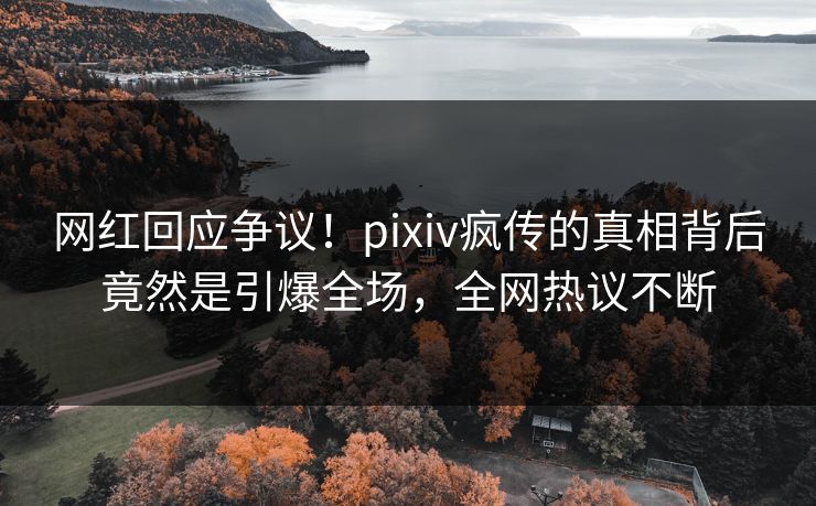 网红回应争议！pixiv疯传的真相背后竟然是引爆全场，全网热议不断