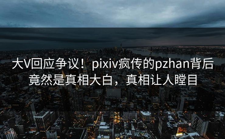大V回应争议！pixiv疯传的pzhan背后竟然是真相大白，真相让人瞠目
