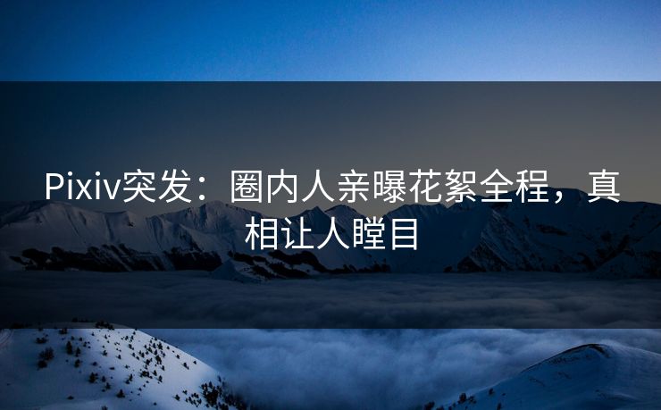Pixiv突发：圈内人亲曝花絮全程，真相让人瞠目