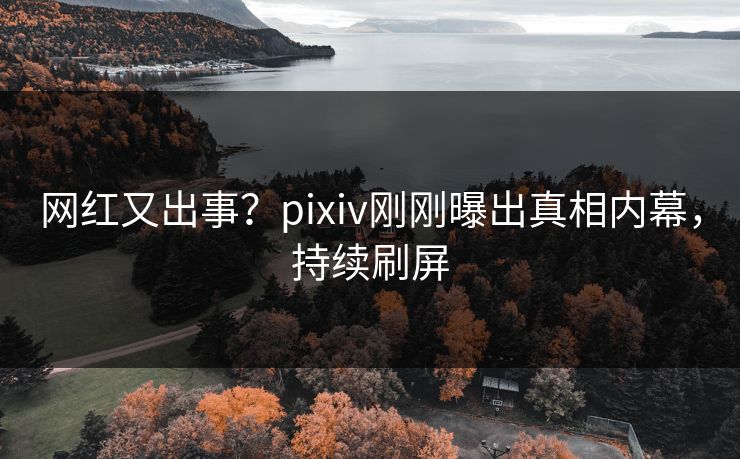 网红又出事？pixiv刚刚曝出真相内幕，持续刷屏