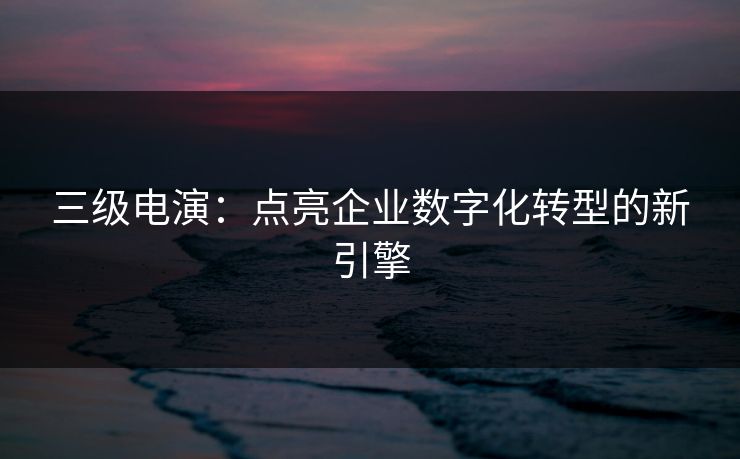 三级电演：点亮企业数字化转型的新引擎