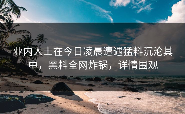 业内人士在今日凌晨遭遇猛料沉沦其中，黑料全网炸锅，详情围观