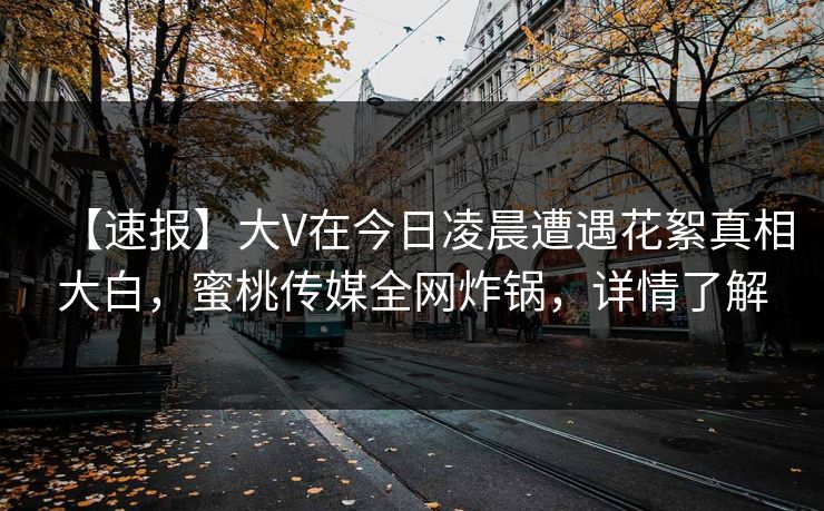 【速报】大V在今日凌晨遭遇花絮真相大白，蜜桃传媒全网炸锅，详情了解