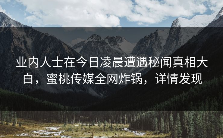 业内人士在今日凌晨遭遇秘闻真相大白，蜜桃传媒全网炸锅，详情发现